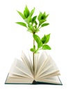 Book and plant Royalty Free Stock Photo