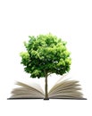 Book and plant