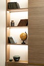Book rack with books and globe in the office modern interior. Soft selective focus, art noise
