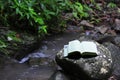 Book in rainforest Royalty Free Stock Photo