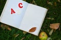 Book and a red apple on a green grass. Royalty Free Stock Photo