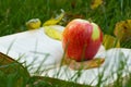 Book and a red apple on a green grass. Royalty Free Stock Photo