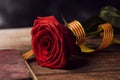 Book, red rose and catalan flag Royalty Free Stock Photo