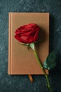 book, red rose and the Catalan flag Royalty Free Stock Photo