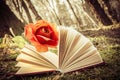 Book and rose Royalty Free Stock Photo