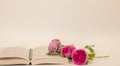 book and rose Royalty Free Stock Photo