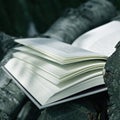 Book in a rustic scenery Royalty Free Stock Photo