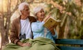 Book, search or old couple bird watching in nature for calm, relaxing or peaceful quality bonding time in New York. Love Royalty Free Stock Photo