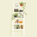 Book shelves with colorful objects. Cartoon design style bookshelves with different potted plants