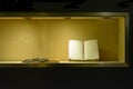 Book in the showcase Royalty Free Stock Photo