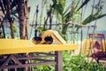 Book and sunglasses lying on a yellow table Royalty Free Stock Photo