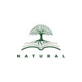 Book with tree logo design Royalty Free Stock Photo