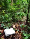 Book in tropical rainforest background