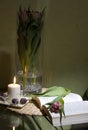 Book and tulip Royalty Free Stock Photo