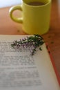 Book whit autumn flower and cup of coffee