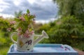 Book on the white vintage table with vase and sunglasses on green grass on sunny summer day, soft focus. Lawn with spring flowers Royalty Free Stock Photo