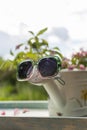 Book on the white vintage table with vase and sunglasses on green grass on sunny summer day, soft focus. Lawn with spring flowers Royalty Free Stock Photo