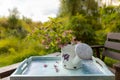 Book on the white vintage table with vase and sunglasses on green grass on sunny summer day, soft focus. Lawn with spring flowers Royalty Free Stock Photo