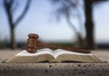Book and wooden gavel, justice concept