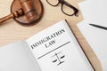 Book with words IMMIGRATION LAW, gavel Royalty Free Stock Photo