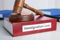 Book with words IMMIGRATION LAW and gavel Royalty Free Stock Photo