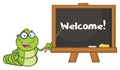 Book Worm Teacher Cartoon Character With Glasses Pointing To A Chalkboard Royalty Free Stock Photo