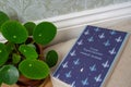 Book "Great Expectations" by Dickens on a neutral floor cushion and a pilea plant in a pot beside Royalty Free Stock Photo