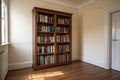 Bookcase in empty room Royalty Free Stock Photo
