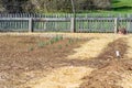 Booker T. Washington National Monument, Vegetable Garden