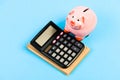 Bookkeeping. financial report. planning counting budget. Commerece business. moneybox with calculator. Piggy bank. money Royalty Free Stock Photo