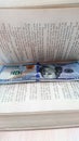 A bookmark, a stash in a book.A hundred-dollar bill