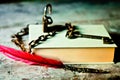 A red pen a book a chain and a lock, symbols of love and slavery Royalty Free Stock Photo