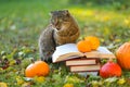 books and emotional cat in the autumn garden.Back to school. Scientist cat. Emotions of a cat.Autumn reading. Halloween