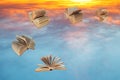 Books fly over sunset clouds Royalty Free Stock Photo