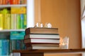 Books, Glasses and Candles