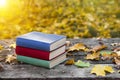 Books on the old wooden table, covered in yellow maple leaves. Back to school. Education concept. Beautiful autumn background.