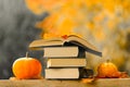 Books and pumpkins in autumn garden with the rays of the sun.Start school and college season.Books on the autumn theme Royalty Free Stock Photo