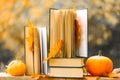 Books and pumpkins set in autumn garden with the rays of the sun.Start school and college season.Books on the autumn Royalty Free Stock Photo