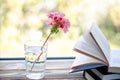 Books are ready for reading lying on a wooden windowsill next to a glass with clear water in which there is a pink geranium flower