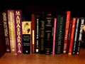 Books in shelf, gone with wind, mein campf, mahabharata, religious, mystic, science in English and Czech language