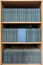 Books Shelf Library Royalty Free Stock Photo