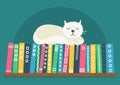 Books on shelf with white cat. Royalty Free Stock Photo