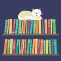 Books on shelf with white cat. Royalty Free Stock Photo