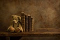 Books and teddy on wooden shelf Royalty Free Stock Photo