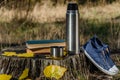 Books, thermos bottle and a cup of coffee or tea, denim sneakers and yellow leaves on a stump in the autumn forest