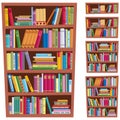 Bookshelf Royalty Free Stock Photo