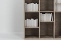 Bookshelf with books inside in the empty new house, 3d rendering