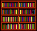Bookshelf. Collection of various books. Vector.