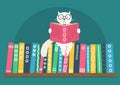 Bookshelf with fantasy clever white cat reading book. Royalty Free Stock Photo