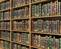 Bookshelf full of books background. Royalty Free Stock Photo